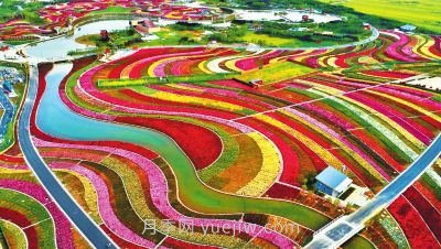 6000余種月季扮靚南陽(yáng)“世界月季名城”(圖1)