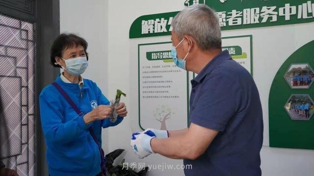 送你一枝月季，許你一束繁花，武漢百余市民領(lǐng)到月季扦插枝條(圖1)