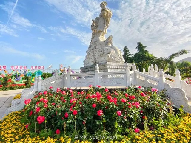 南陽(yáng)月季博覽園，6月份全月免門(mén)票！(圖2)