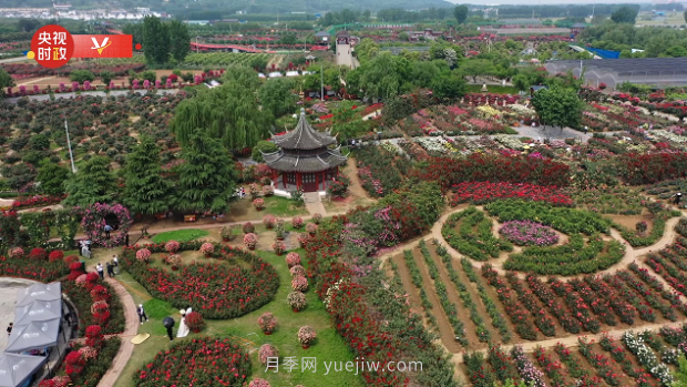 共享生態(tài)美景 助推鄉村振興——走進(jìn)南陽(yáng)月季博覽園(圖2)