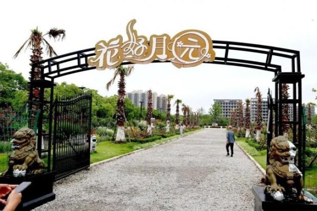 上海閔行區花好月園公園，萬(wàn)株月季怒放快來(lái)品(圖1)