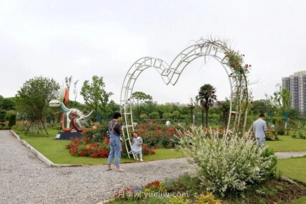 上海閔行區花好月園公園，萬(wàn)株月季怒放快來(lái)品(圖7)