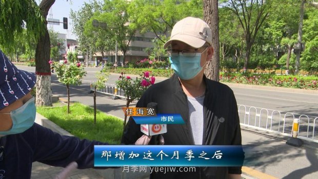 太原三百萬(wàn)株月季玫瑰盛開(kāi)，許你一座浪漫之都(圖3)