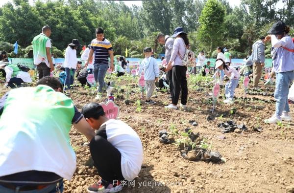 漯河城管園林科研所，邀請400余位市民花田體驗栽花(圖3)
