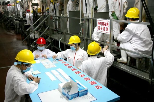 漯河打造農業(yè)全產(chǎn)業(yè)鏈，實(shí)現航母級產(chǎn)業(yè)(圖4)