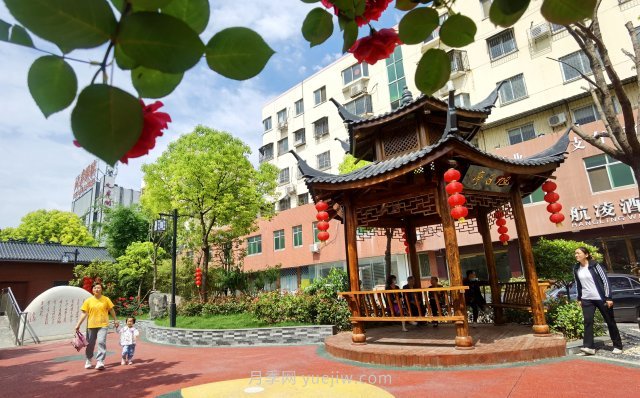 南陽(yáng)臥龍崗街道，廢墟變游園，月季景優(yōu)美(圖2)