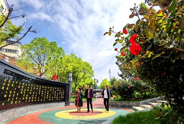 南陽(yáng)臥龍崗街道，廢墟變游園，月季景優(yōu)美(圖1)