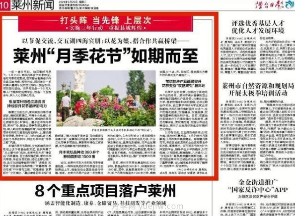 煙臺媒體聚焦萊州月季花節：一年一度 為你而“萊”(圖1)