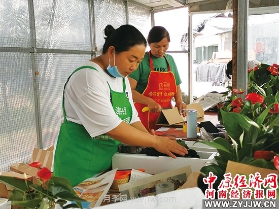 永城市高莊鎮發(fā)展花卉苗木產(chǎn)業(yè) 年產(chǎn)值億元以上(圖1)