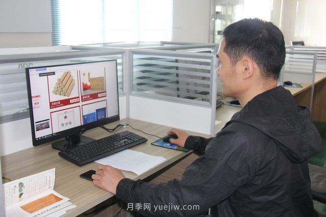 南陽(yáng)臥龍艾草產(chǎn)業(yè)——一片艾草的春天故事(圖3)
