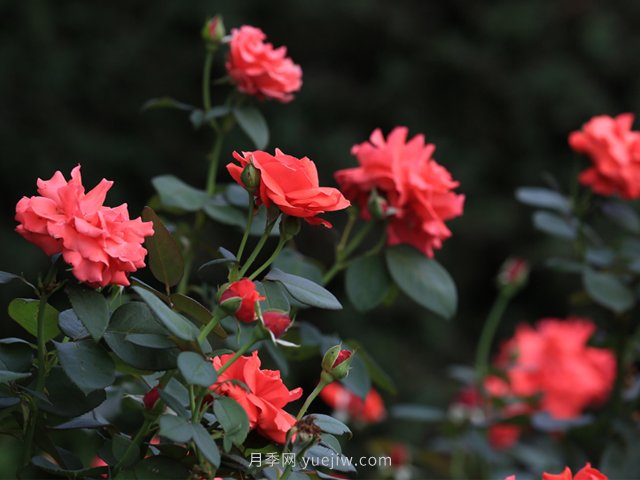 創(chuàng  )業(yè)融資必須要掌握的30條原則(圖1)
