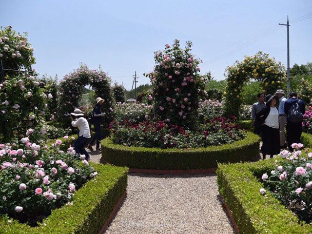 城市公園中使用綠雕應該注意哪些問(wèn)題？(圖1)