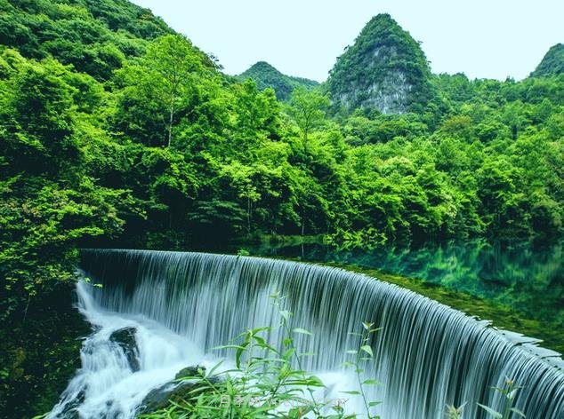 貴州特色林業(yè)產(chǎn)業(yè)基地達1078萬(wàn)畝(圖1)
