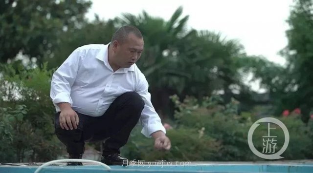 南陽(yáng)鎮平：“中國錦鯉**村”的三代養魚(yú)人(圖2)