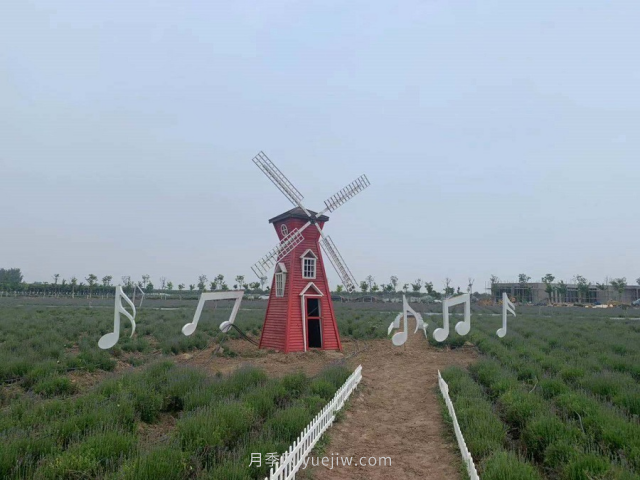 聊城芳香文化博覽園，鄉村振興巾幗示范基地(圖3)