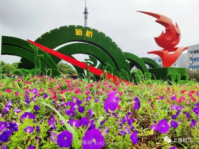 上海松江這里的花壇、花境“上新”啦！特色景觀(guān)升級！(圖1)