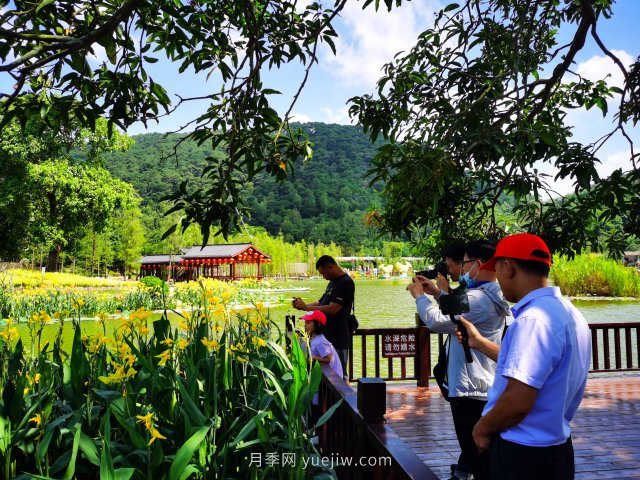 南寧青秀山景區推出水生花卉觀(guān)賞季(圖3)