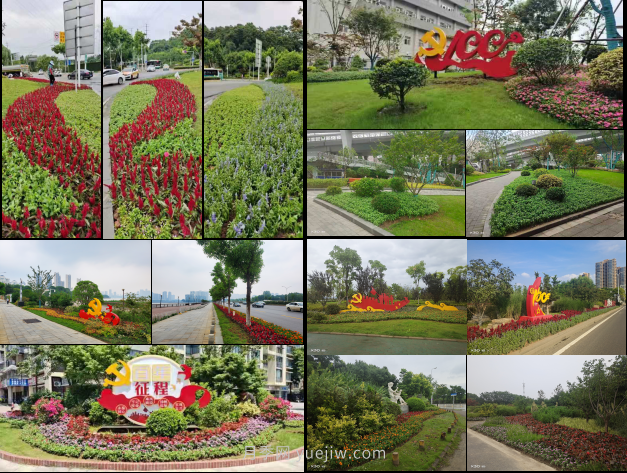 武漢洪山區慶祝建黨百年 30余萬(wàn)盆花卉擺滿(mǎn)街頭(圖1)