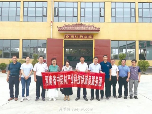 科技創(chuàng  )新促進(jìn)南陽(yáng)艾草產(chǎn)業(yè)高質(zhì)量發(fā)展(圖1)