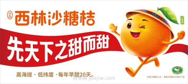 第三屆云果會(huì )盛大開(kāi)幕，助力云南打造世界一流綠色食品牌(圖6)