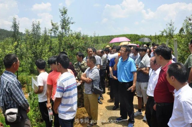 什么是新農人，和傳統農民有什么區別(圖1)