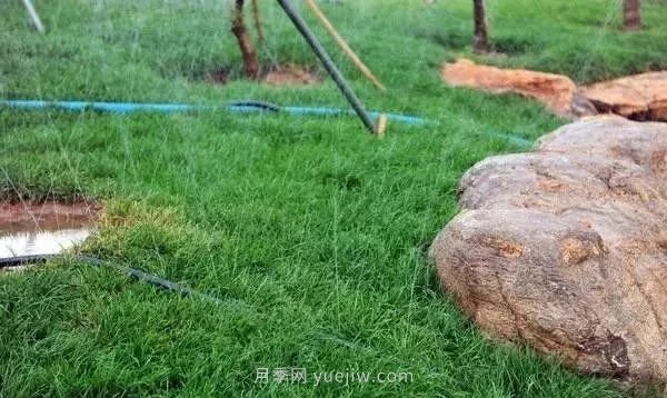 園林常用的4種節水灌溉技術(shù)(圖1) 園林常用的4種節水灌溉技術(shù)(圖1)