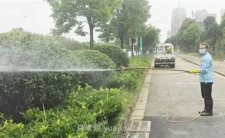 南陽(yáng)園林人須知夏季噴藥有“五忌”！(圖1)