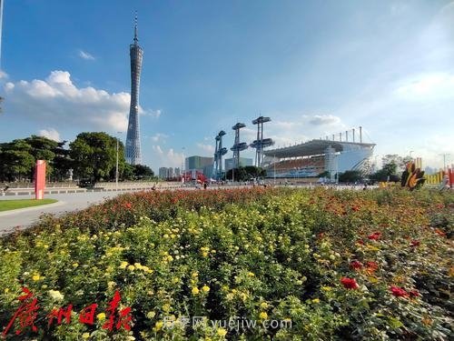 廣州花城廣場(chǎng)月季花海爭奇斗艷(圖6)
