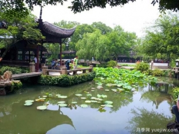 如何做好園林綠化工程決算？