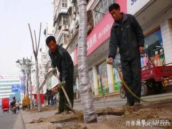 12月份園林養護如何做，才能給全年養護做個(gè)好結尾