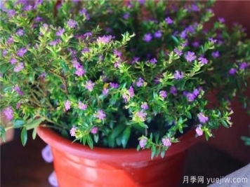 “厚德載物”是哪幾德，你知道嗎？漲知識！
