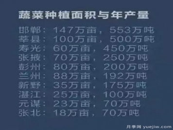 叫響南陽(yáng)蔬菜品牌，新野蔬菜基地和社旗蔬菜基地打牢基礎