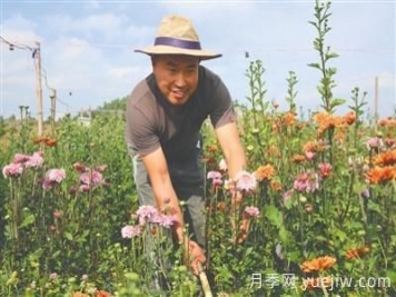 曲靖富源：聞著(zhù)花香打工掙錢(qián)