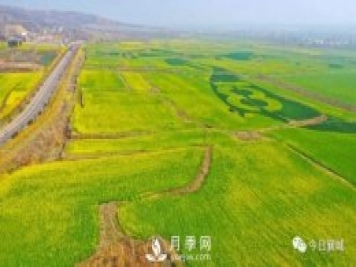 許昌襄城第四屆首山油菜花旅游文化節