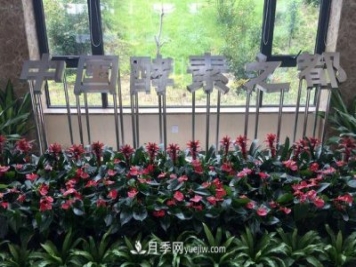 南召縣打造中國酵素之都 產(chǎn)品占全國市場(chǎng)三分之一