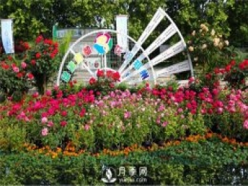 鄭州市2015年第二十一屆月季花展景觀(guān)