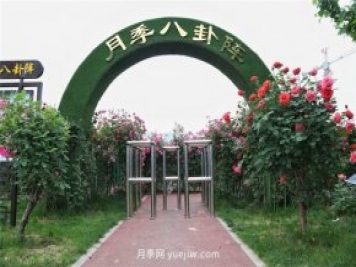 河南汝州市月季八卦景觀(guān) 一步一景迎五一花海