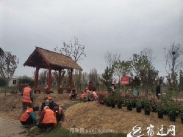 醉美泗陽(yáng)，月季花海，第十一屆中國月季展覽會(huì )4月28日開(kāi)幕