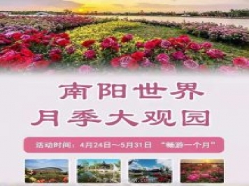 第十二屆南陽(yáng)月季花會(huì )4月29日開(kāi)幕，活動(dòng)豐富多彩