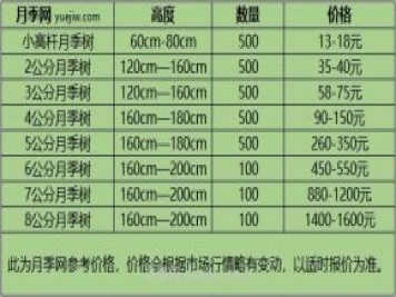 1-10公分月季樹(shù)價(jià)格是多少？樹(shù)狀月季5月報價(jià)單！
