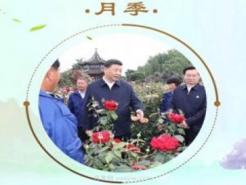 “小康菜譜”上新了！“最強帶貨員”這次cue到南陽(yáng)月季