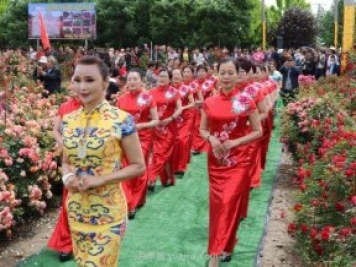 西安鄠邑區首屆月季花節開(kāi)幕，爭奇斗艷迎賓客