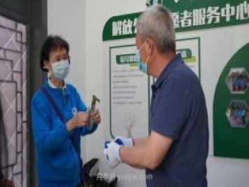 送你一枝月季，許你一束繁花，武漢百余市民領(lǐng)到月季扦插枝條