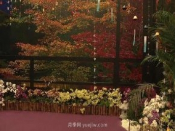 第十屆花博會(huì )閉幕 “日本花道光影館”獲銀獎