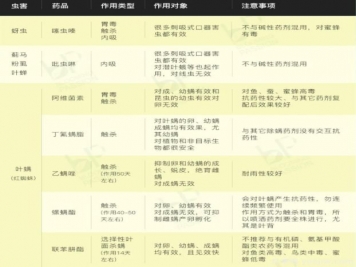 秋季月季花園里5種常見(jiàn)蟲(chóng)害防治詳解