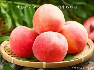 桃樹(shù)怎么管理大全？桃樹(shù)周年管理月歷表