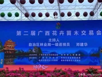 花開(kāi)八桂壯美廣西，第二屆廣西花卉苗木交易會(huì )開(kāi)幕
