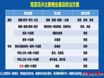 如何提高景觀(guān)花卉高發(fā)蟲(chóng)害的防治效果？