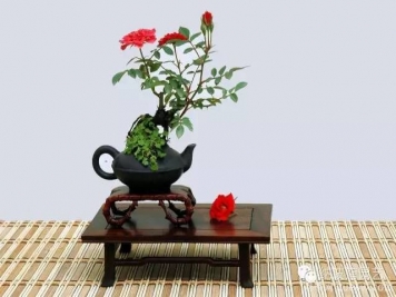 如何制作漂亮的月季盆景？藝術(shù)品來(lái)了