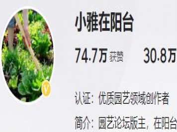 養花自媒體：小雅在陽(yáng)臺